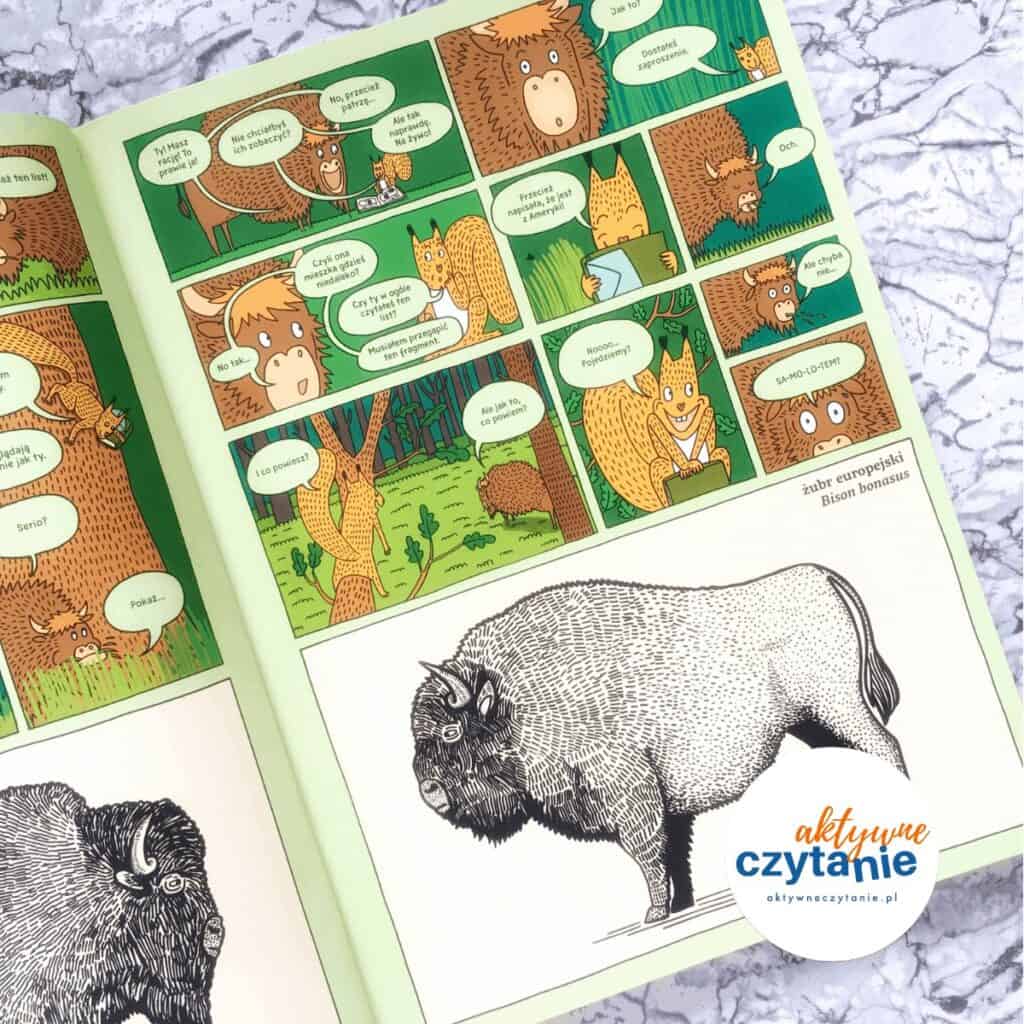 Którędy do Yellowstone? ksiązki dla dzieci recenzja aktywne czytanie 2 żubr bizon