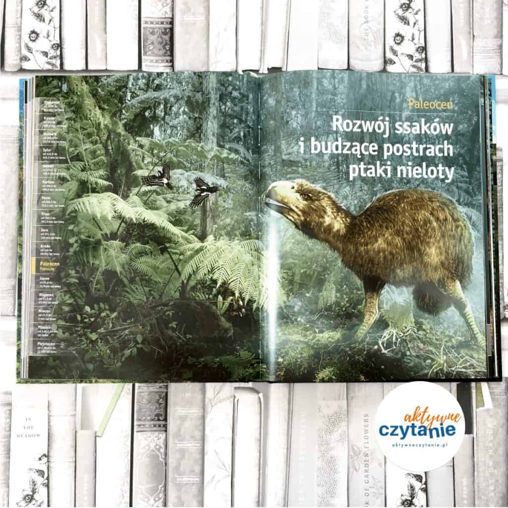 dinozaury i inne pradawne zwierzęta olesiejuk ksiązki dla dzieci aktywne czytanie 12