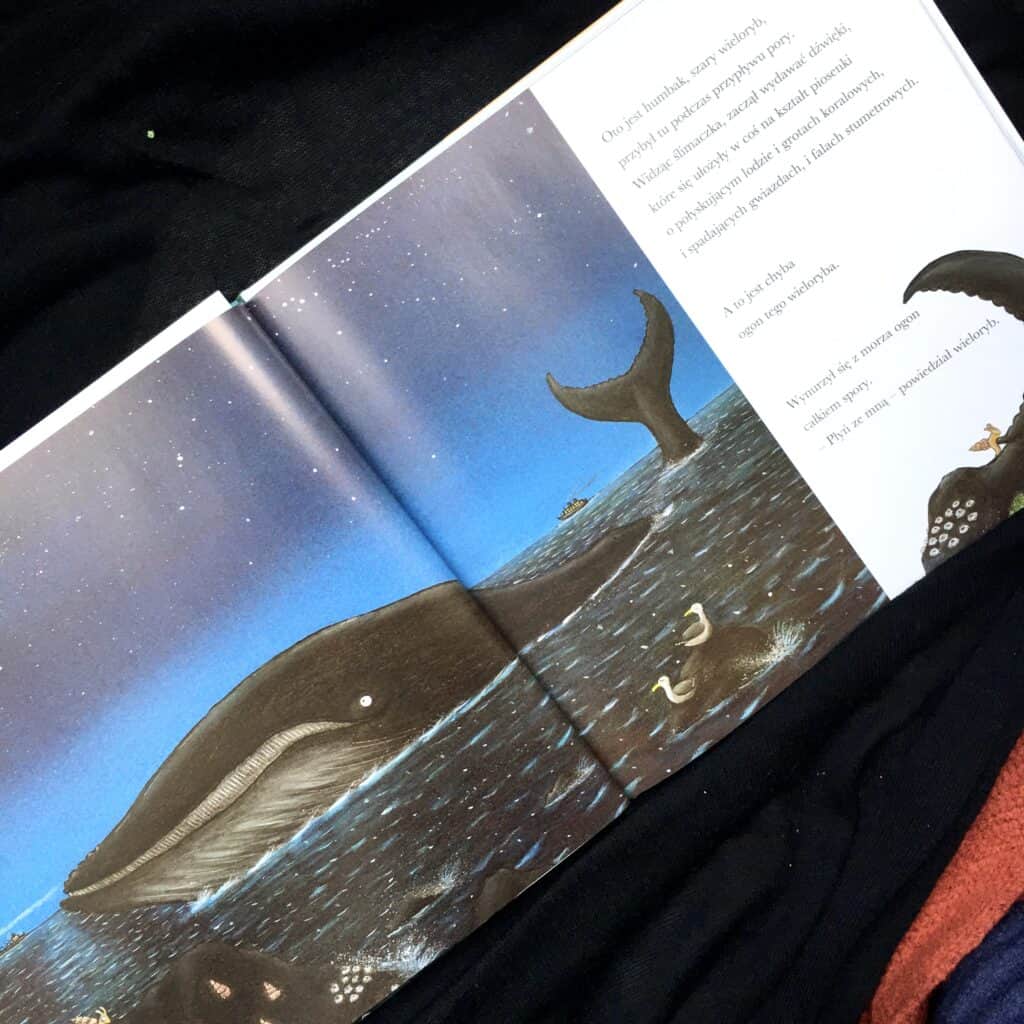 slimak i wieloryb recenzja ksiazki dla dzieci aktywne czytanie