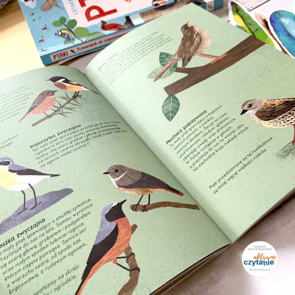 ksiazki dla dzieci 7 ptaki przewodnik do rozpoznawania recenzja papilon blog aktywne czytanie 22