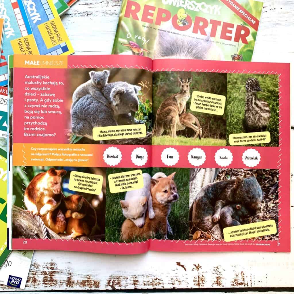 swierszczyk reporter magazyn dla dzieci przyroda aktywne czytanie ksiazki dla dzieci.44