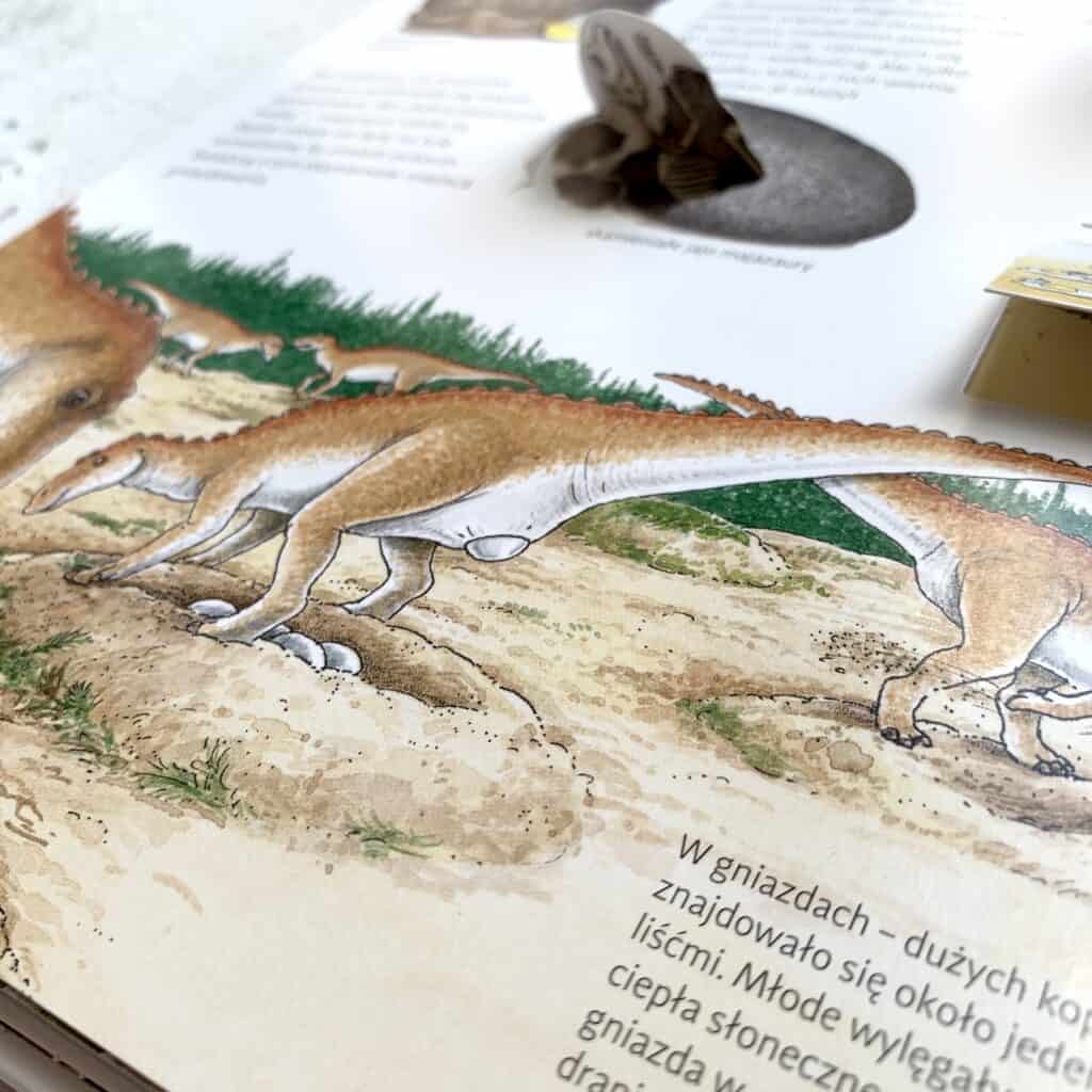 odkrywamy-dinozaury-recenzja-ksiazki-z-okienkami-3-4-5-6-lat156