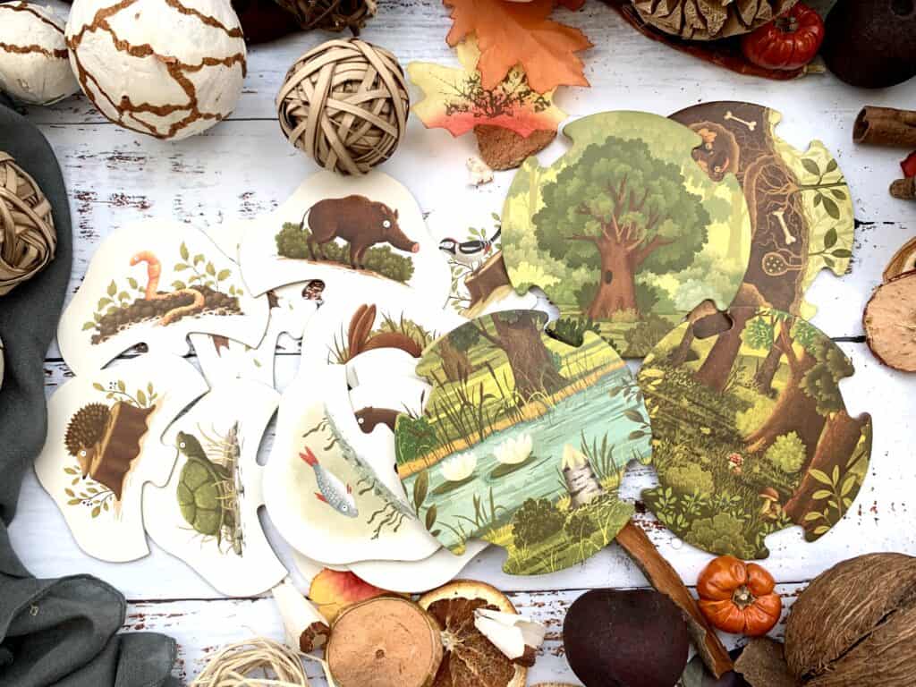 rok w lesie gdzie zyja zwierzatka puzzle dla dzieci8