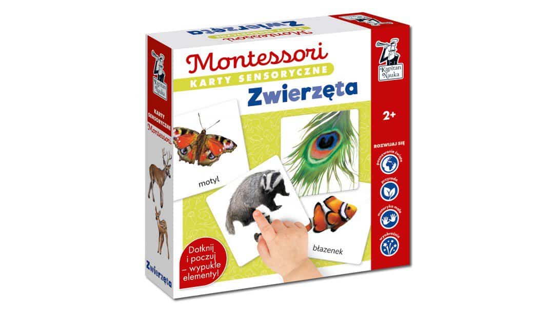 Karty_sensoryczne_Montessori_Zwierzeta_5904905917065_3D