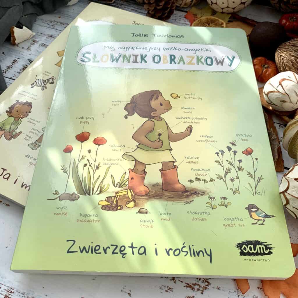 moj najpiekniejszy polsko-angielski slownik obrazkowy recenzja ksiazki dla dzieci19