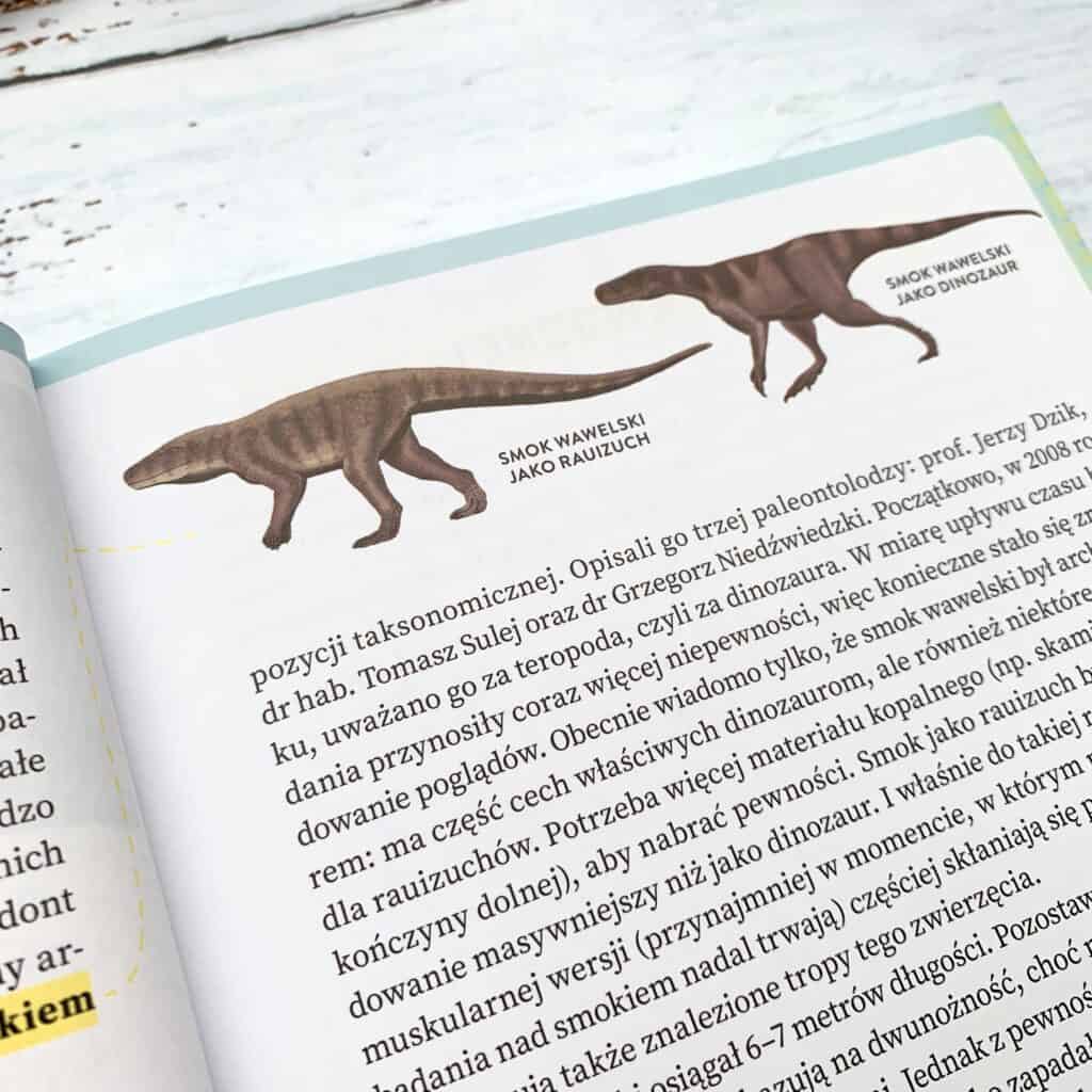 dinozaury i inne wielkie ssaki recenzja ksiazki dla dzieci-9