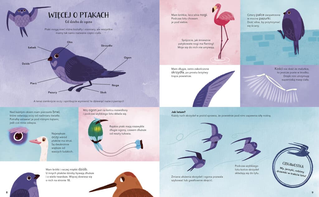 Sekretne zycie ptakow zapowiedzi ksiazki dla dzieci aktywne czytanie