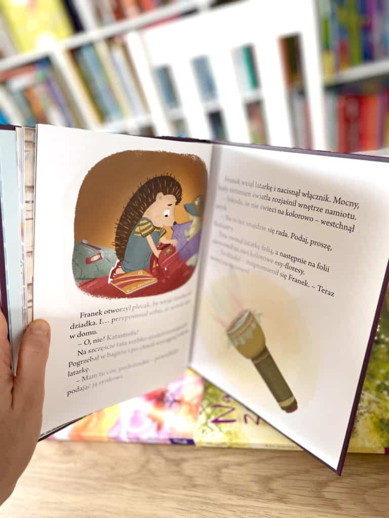 franek-na-biwaku-recenzja-ksiazki-dla-dzieci aktywne czytanie ksiazki dla dzieci wilga 3