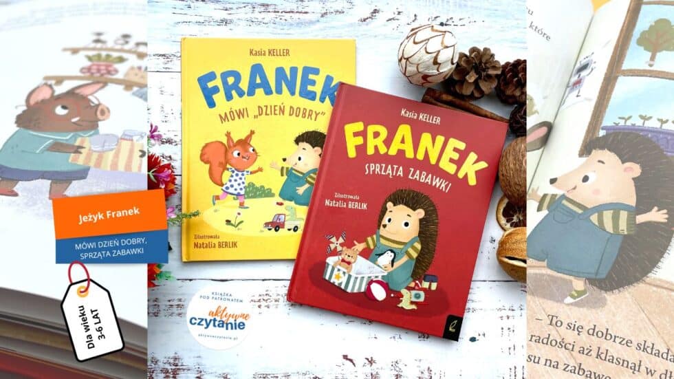franek sprzata zabawki mowi dzien dobry recenzja ksiazki dla dzieci