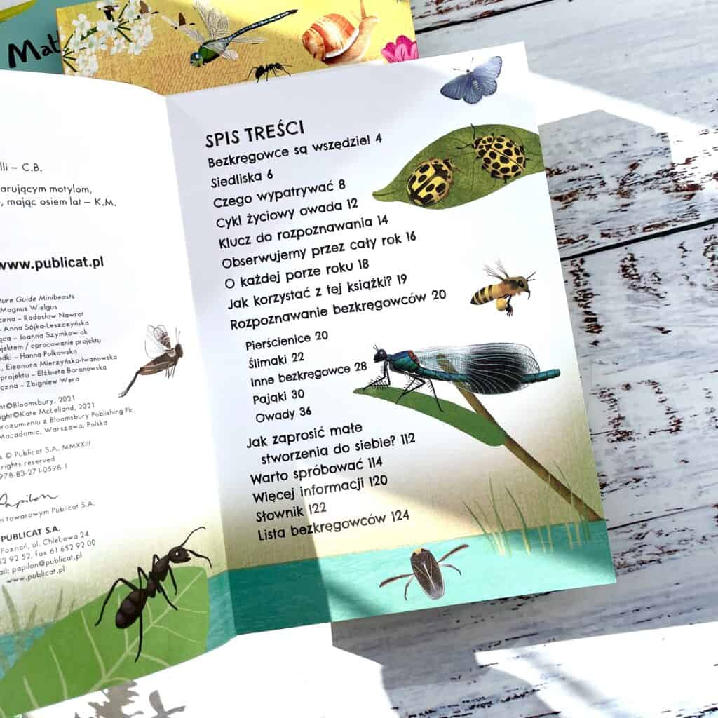 robale owady i inne male stworzenia papilon recenzja ksiazki dla dzieci-3