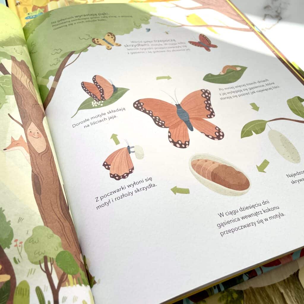 sekretne zycie drzew recenzja ksiazki dla dzieci-10