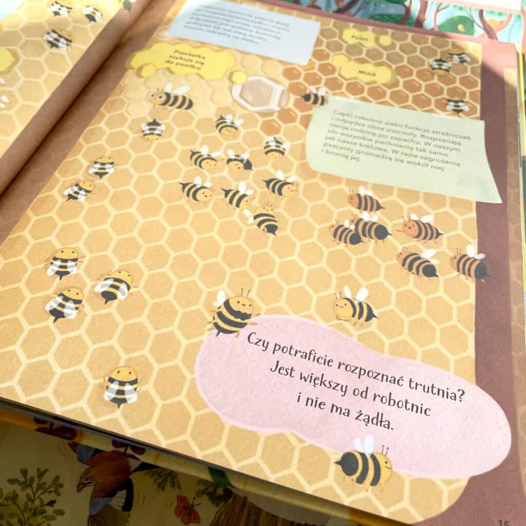 sekretne zycie pszczol recenzja ksiazki dla dzieci-5