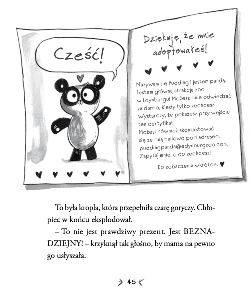 panda na progu recenzja ksiazki dla dzieci wilga8