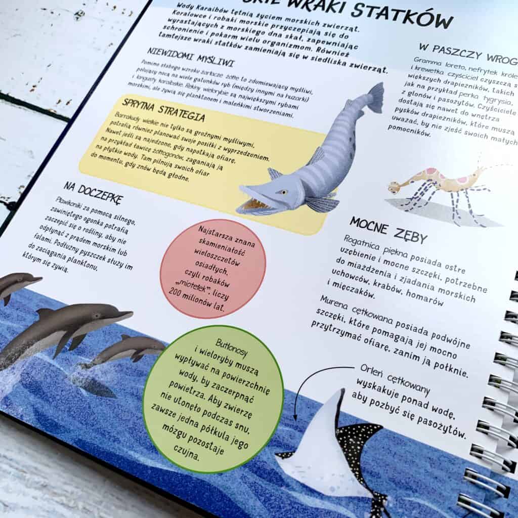 tajemnice glebin oceanu recenzja ksiazki dla dzieci z latarka aktywne czytanie wow 2023