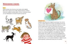 https://aktywneczytanie.pl/basia-i-przyjaciele-wielka-ksiega-przygod-harperkids-recenzja-ksiazki-dla-dzieci/