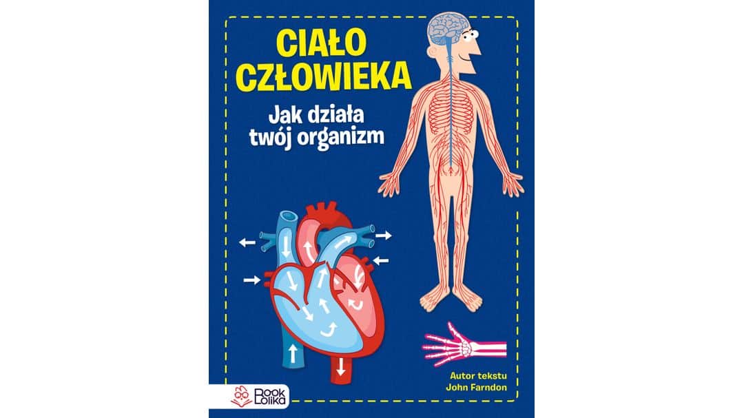 Ciało człowieka. Jak działa Twój organizm.