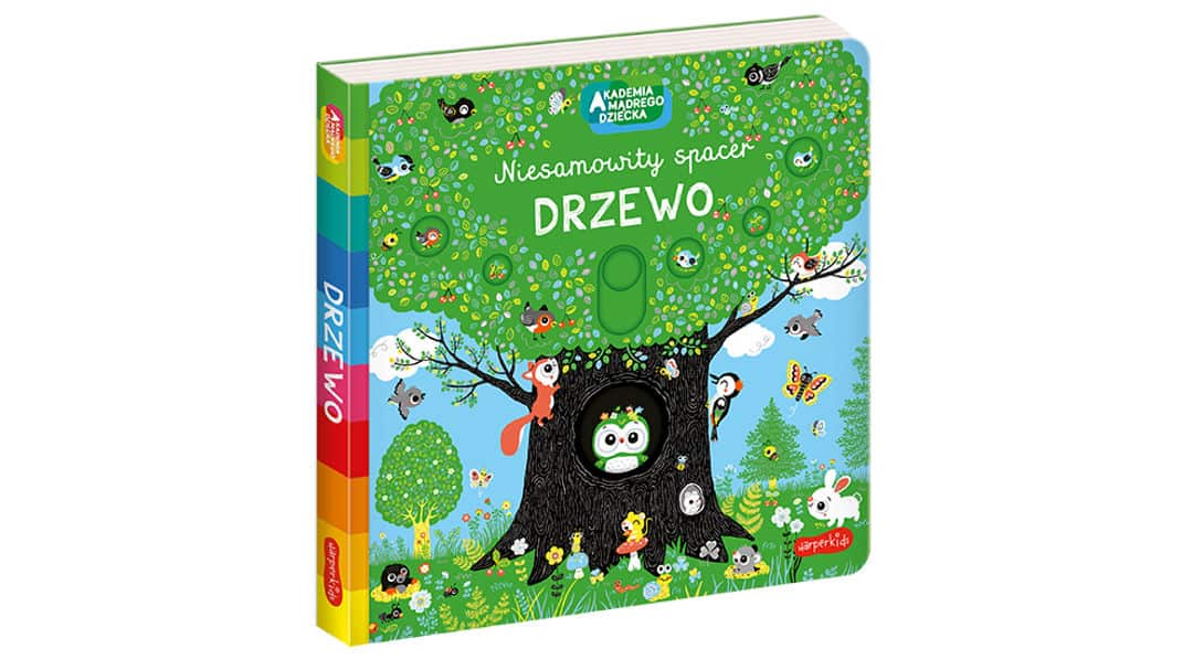 Drzewo. Akademia mądrego dziecka. Niesamowity spacer