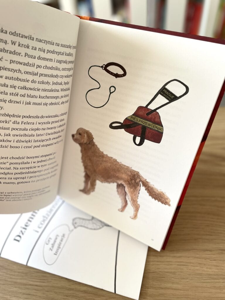 marzenie mili recenzja ksiazki dla dzieci aktywne czytanie3