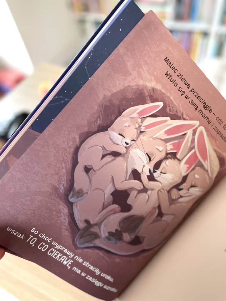 fenek-i-wielka-nuda-recenzja-ksiazki-dla-dzieci aktywne czytanie1 copy
