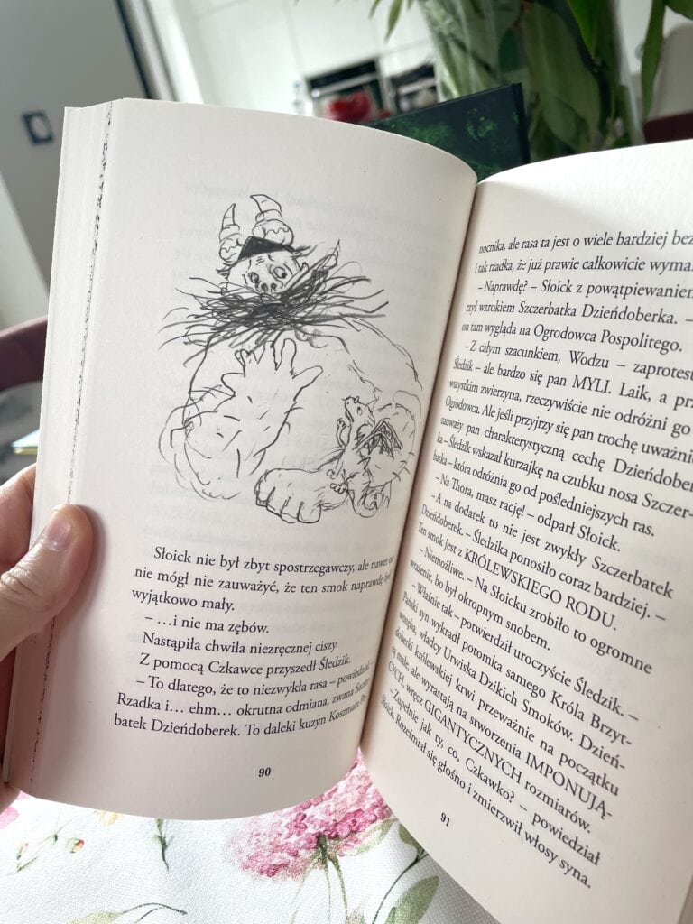 jak-wytresowac-smoka-recenzja-ksiazki-dla-dzieci aktywne czytanie ksiazki dla dzieci8