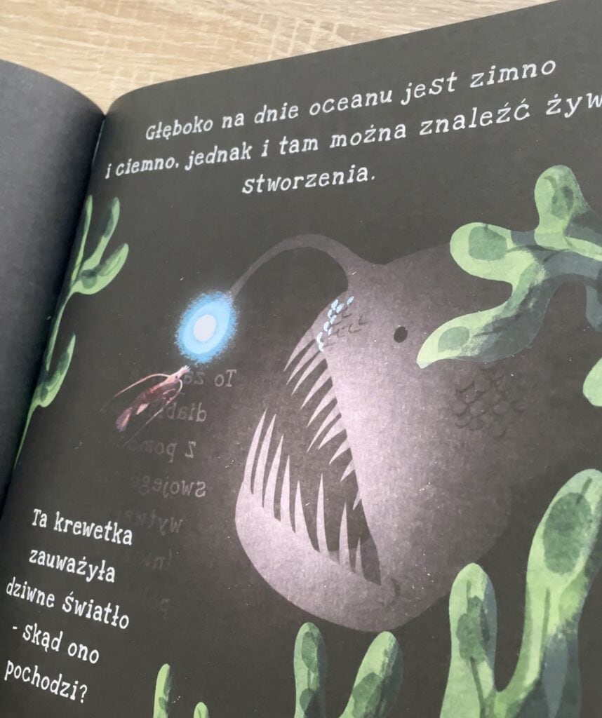 oceany-seria-podswietl-i-odkryj-ksiega-dzwiekow-ksiega-sztuki-pierwsza-pomoc-recenzja-ksiazki-dla-dzieci aktywne czytanie17