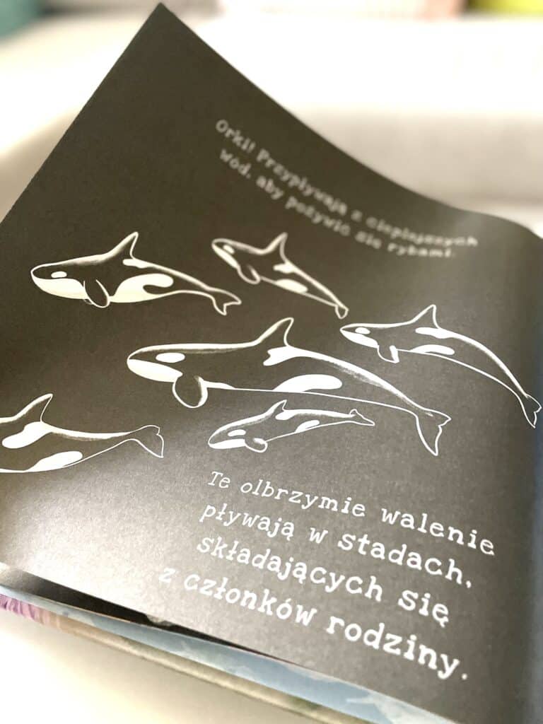 oceany-seria-podswietl-i-odkryj-ksiega-dzwiekow-ksiega-sztuki-pierwsza-pomoc-recenzja-ksiazki-dla-dzieci aktywne czytanie1