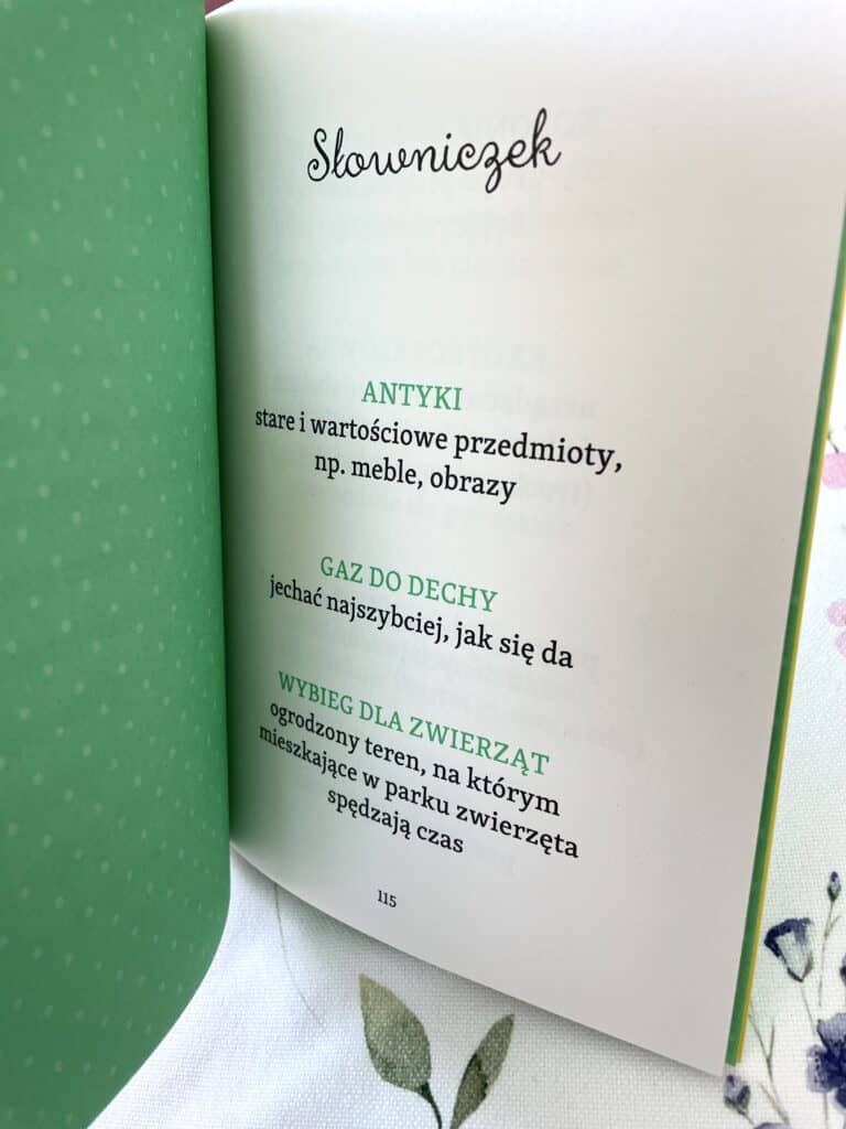 tropiciel-mops-dzika-przygoda-w-parku-safari-recenzja-ksiazki-dla-dzieci-6-9-lat aktywne czytanie8