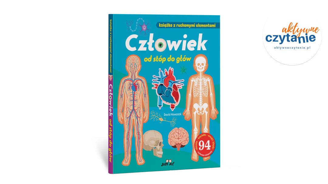 Człowiek od stóp do głów. Książka z ruchomymi elementami