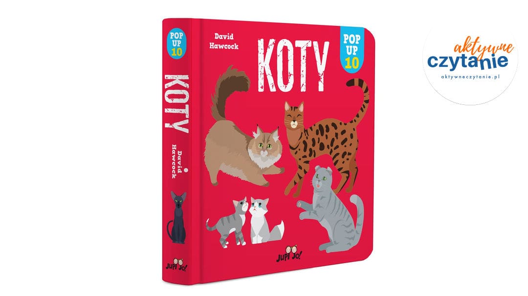 Koty. POP-UP 10