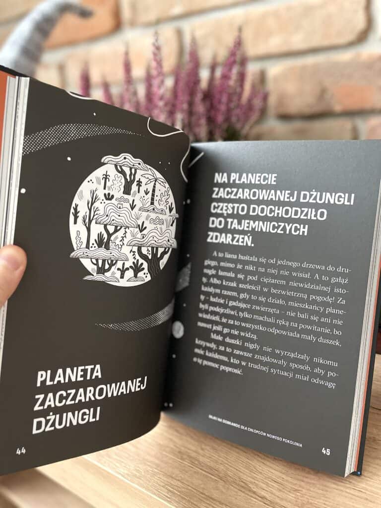 bajki-na-dobranoc-dla-chlopcow-nowego-pokolenia-recenzja-ksiazki-dla-dzieci12