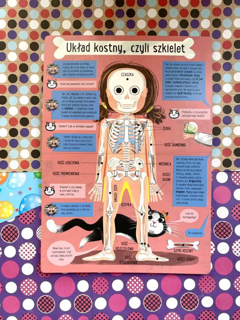 cialo-porusza-sie-smialo-kartonowa-ksiazka-dla-dzieci-3-6-lat-recenzja aktywne czytanie1 copy