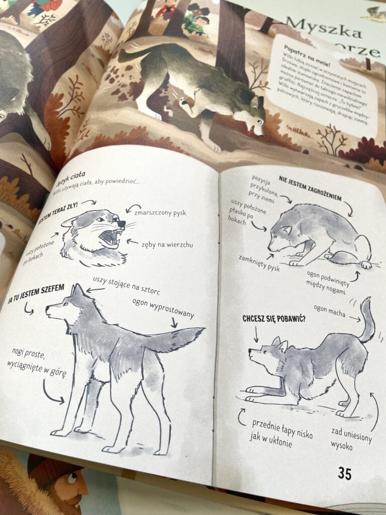 w-dziczy-popularnonaukowa-seria-ksiazek-o-zwierzetach-wydawnictwo-pwn aktywne czytanie3