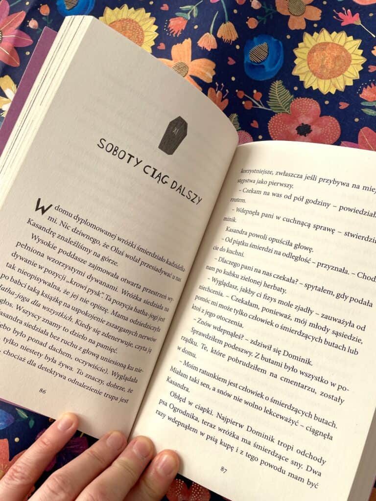 detektyw-kefirek-seria-detektywistyczna-dla-dzieci8-12-lat-zielona-sowa-recenzja-ksiazki