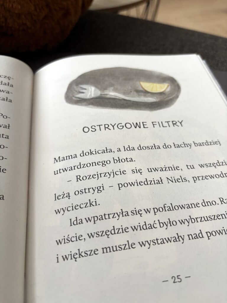 Ida z polnocy wiatr bloto i badyle wydawnictwo wilga recenzja ksiazki dla dzieci aktywne czytanie3